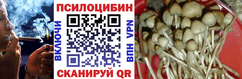 Псилоцибиновые грибы ЛСД  дарнет шоп  omg ссылки  Ногинск 
